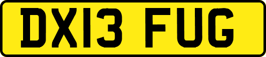 DX13FUG