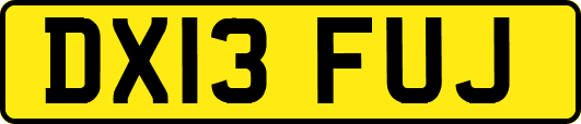 DX13FUJ