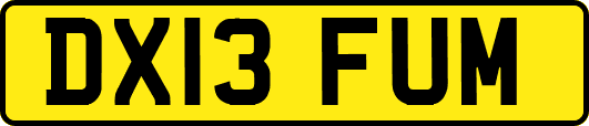 DX13FUM