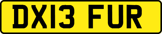 DX13FUR