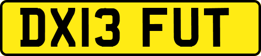 DX13FUT