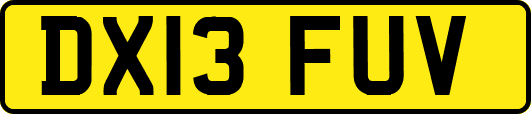 DX13FUV