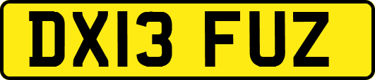 DX13FUZ