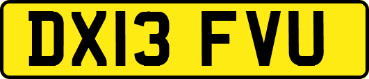 DX13FVU