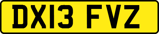 DX13FVZ