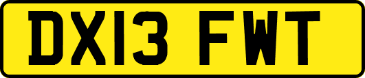 DX13FWT