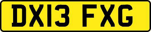 DX13FXG