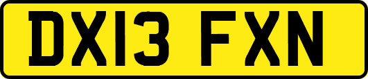 DX13FXN