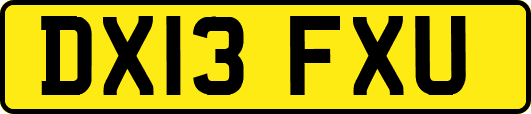 DX13FXU