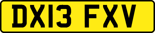 DX13FXV