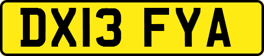 DX13FYA