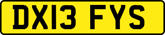 DX13FYS