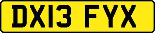 DX13FYX