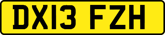 DX13FZH