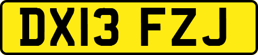 DX13FZJ