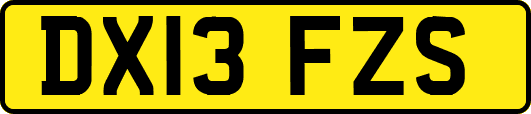 DX13FZS
