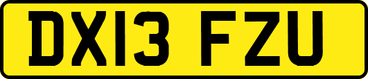 DX13FZU