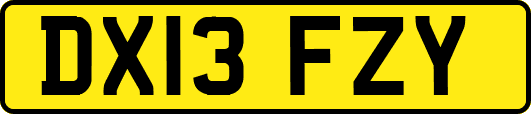 DX13FZY