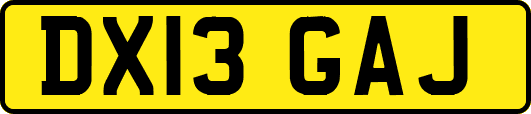 DX13GAJ