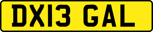 DX13GAL