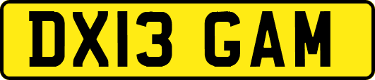 DX13GAM