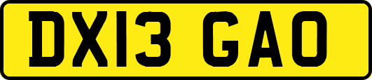 DX13GAO