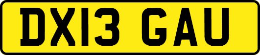 DX13GAU