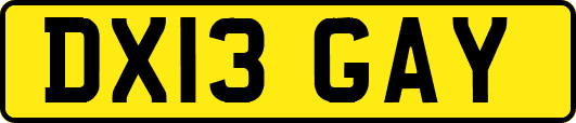 DX13GAY