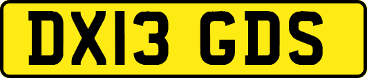 DX13GDS