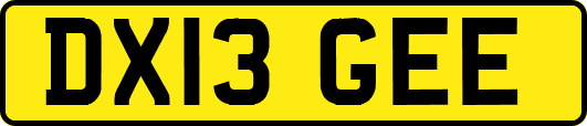 DX13GEE
