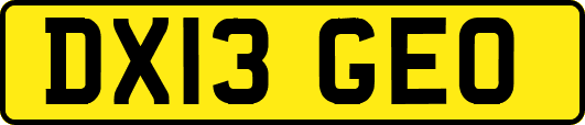 DX13GEO