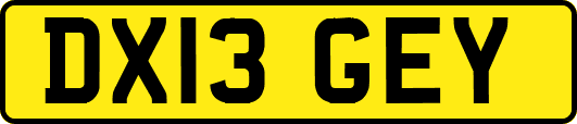 DX13GEY