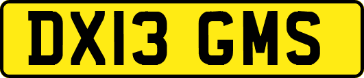 DX13GMS