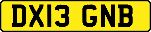 DX13GNB