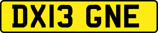 DX13GNE