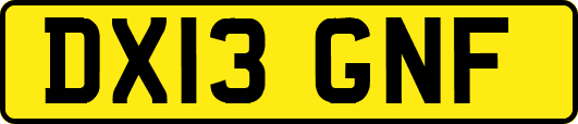 DX13GNF