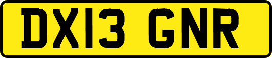 DX13GNR