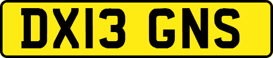 DX13GNS