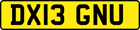 DX13GNU