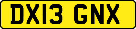 DX13GNX
