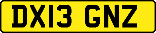 DX13GNZ