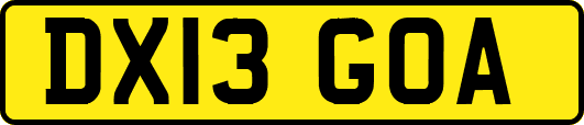 DX13GOA