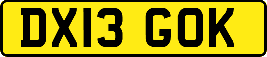 DX13GOK