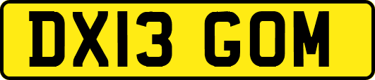 DX13GOM