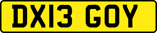 DX13GOY