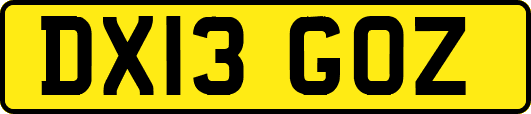 DX13GOZ