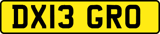 DX13GRO