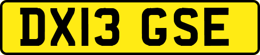 DX13GSE