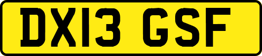 DX13GSF