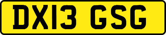 DX13GSG